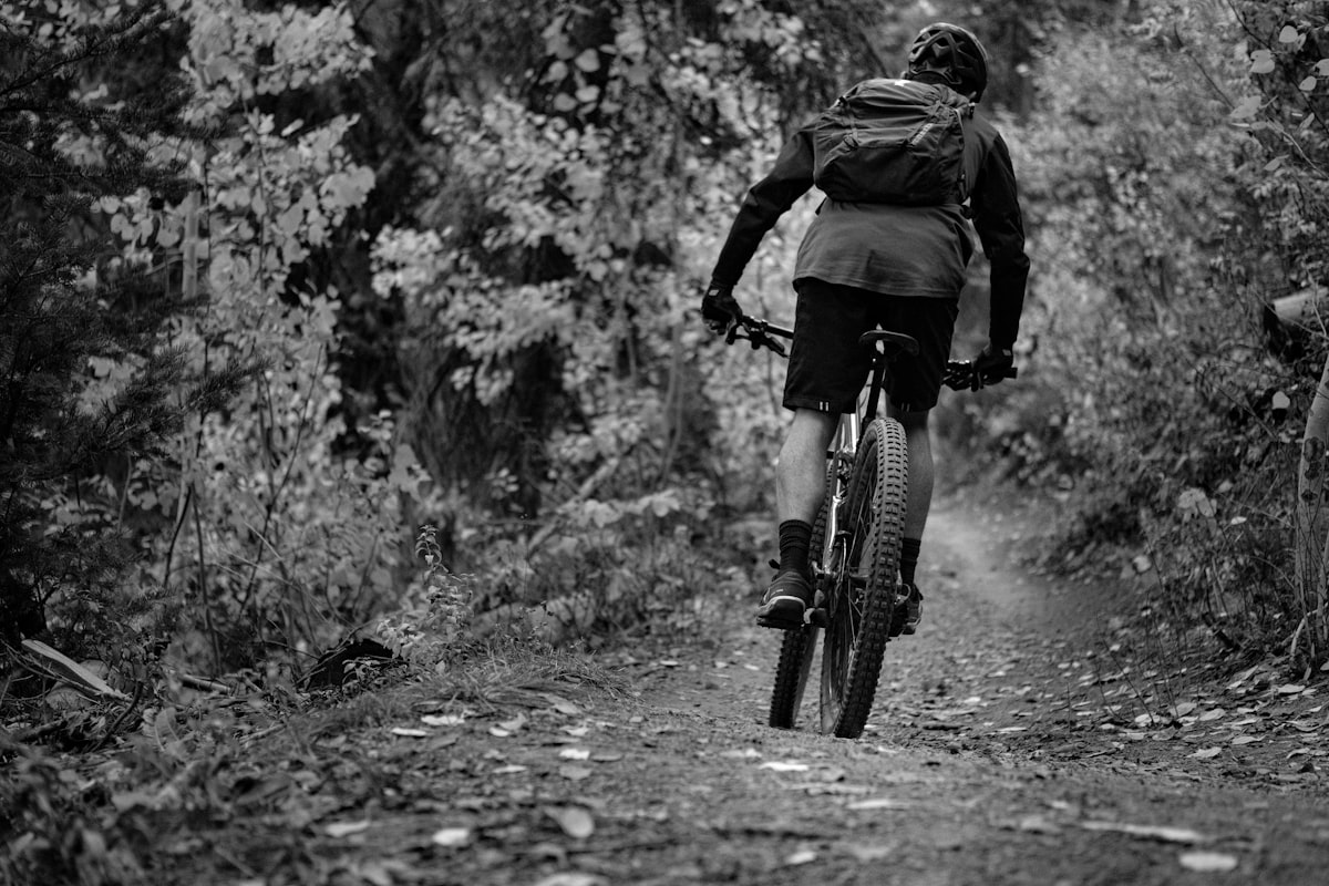 Bersepeda gunung di medan menantang dengan pohon-pohon hijau